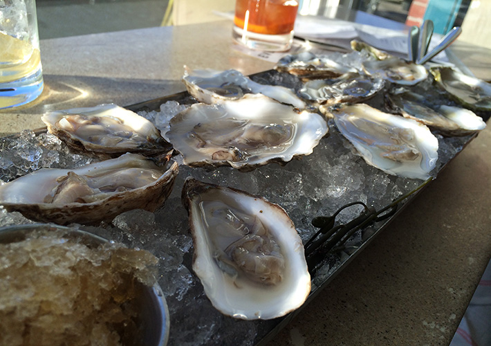 hungry for design eventide oysters